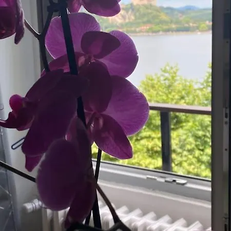 Babalu Con Vista Appartement