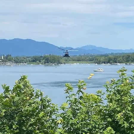 Babalu Con Vista * Arona