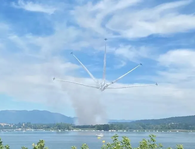 Babalu Con Vista * Arona