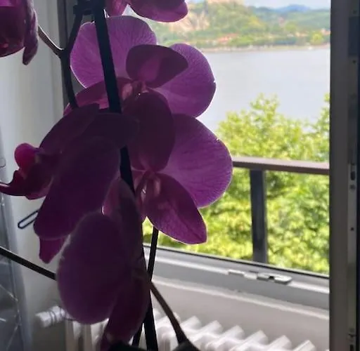 Babalu Con Vista Apartment