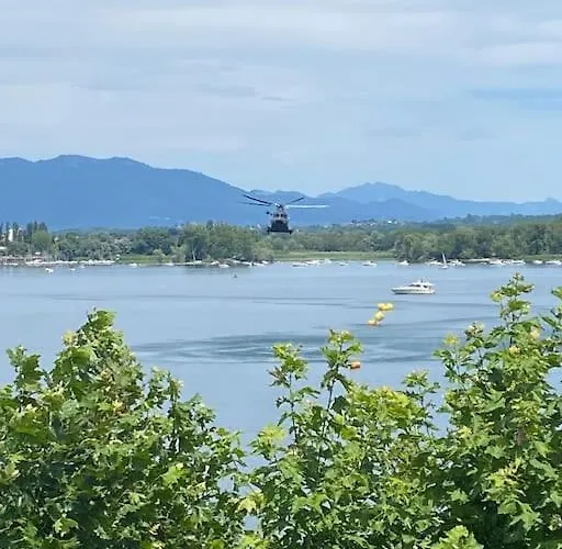 Babalu Con Vista * Arona